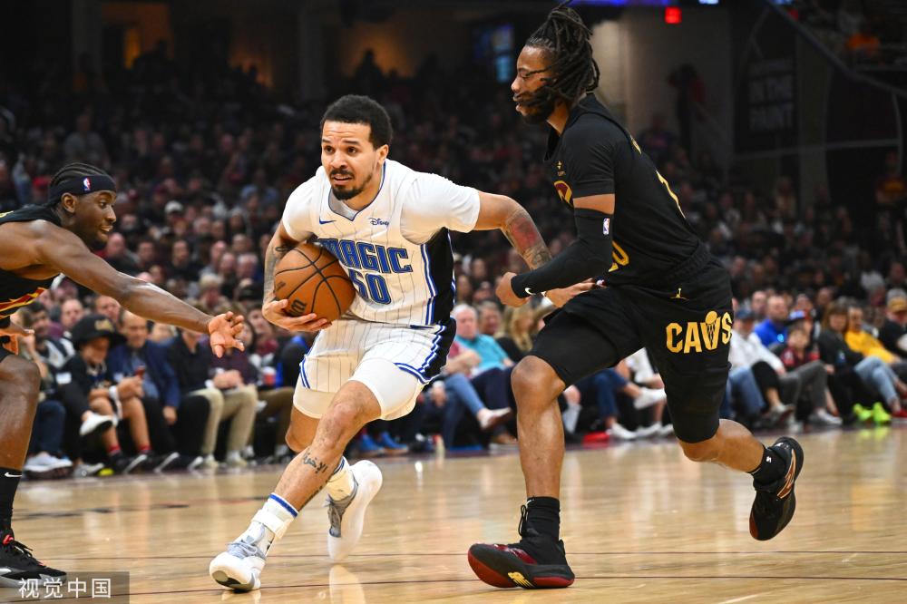 组织角色 组织角色